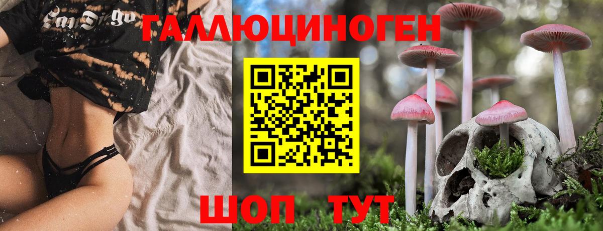 Галлюциногенные грибы Cubensis Тосно