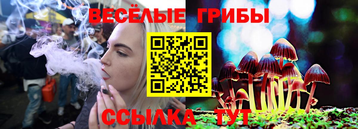 наркошоп  Галлюциногенные грибы Psilocybe  Тосно  Вход с VPN  Псилоцибиновые грибы Psilocybe 